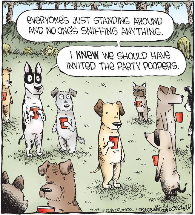 Speed Bump for Jul 25, 2024