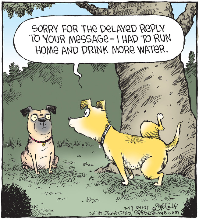 Speed Bump for Jul 27, 2021