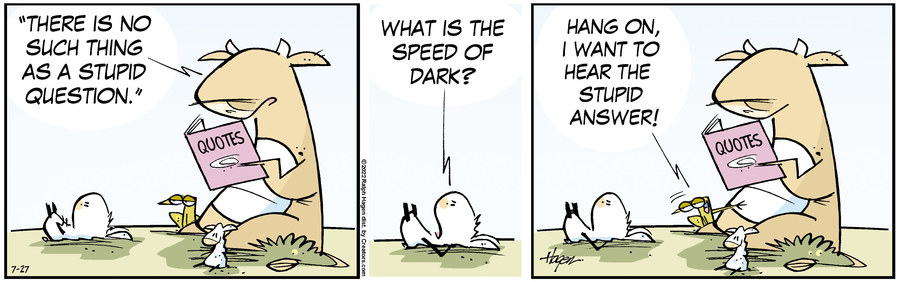 The Barn for Jul 27, 2022