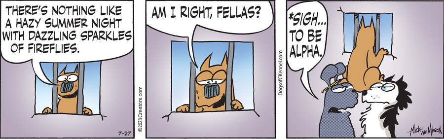Dogs of C-Kennel for Jul 27, 2023