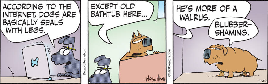 Dogs of C-Kennel for Jul 29, 2023