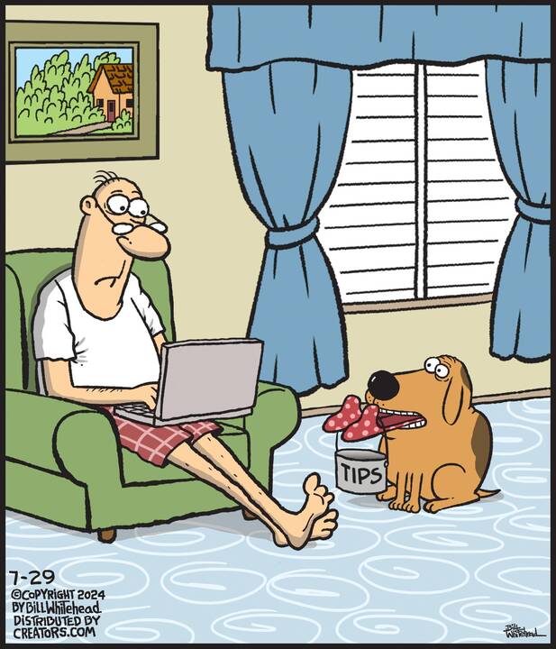 Free Range for Jul 29, 2024