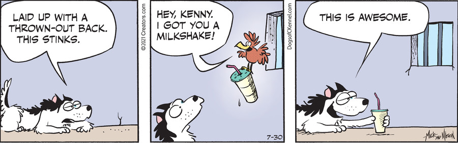 Dogs of C-Kennel for Jul 30, 2021
