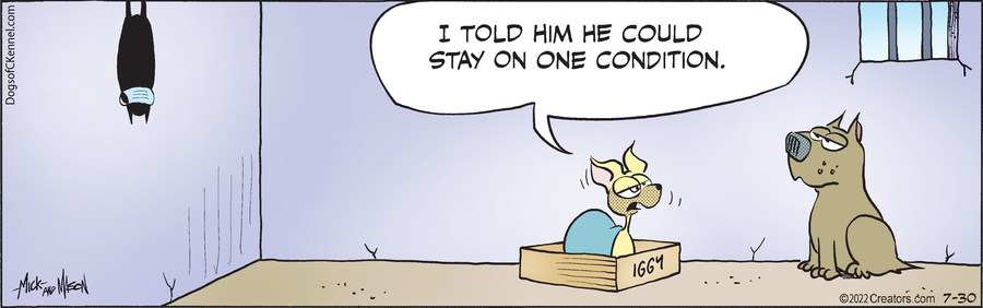 Dogs of C-Kennel for Jul 30, 2022