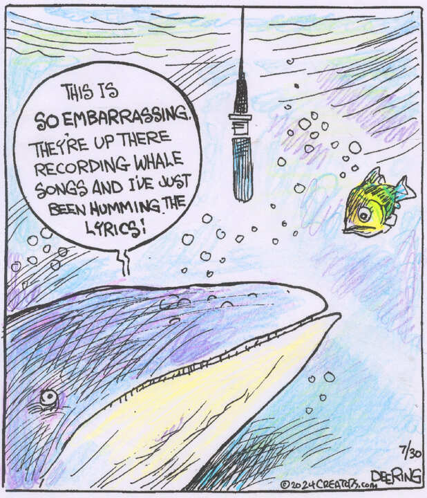 Strange Brew for Jul 30, 2024