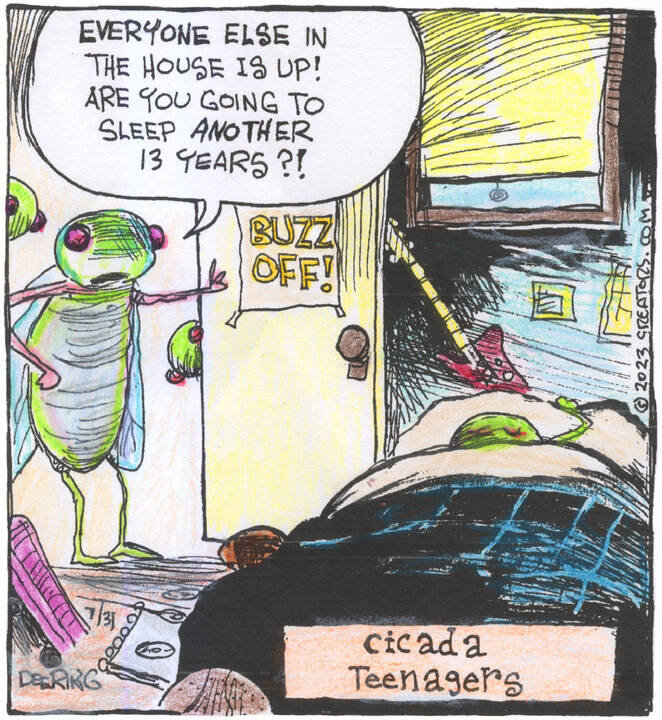 Strange Brew for Jul 31, 2023