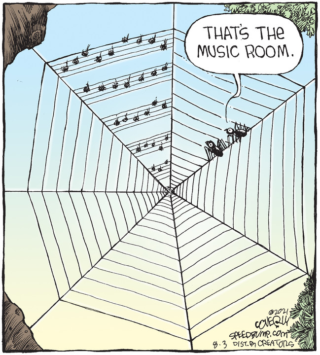 Speed Bump for Aug 03, 2021