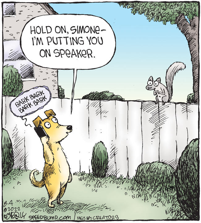 Speed Bump for Aug 04, 2022