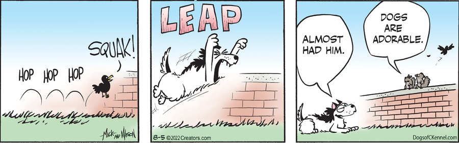 Dogs of C-Kennel for Aug 05, 2022