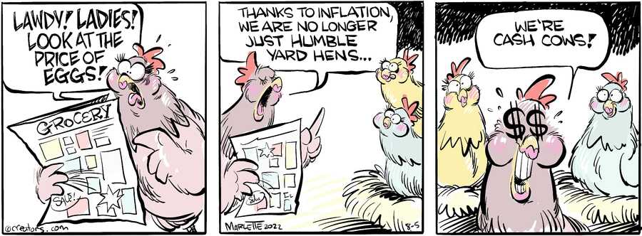 Shrimp and Grits for Aug 05, 2024