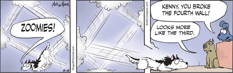 Dogs of C-Kennel for Aug 06, 2021