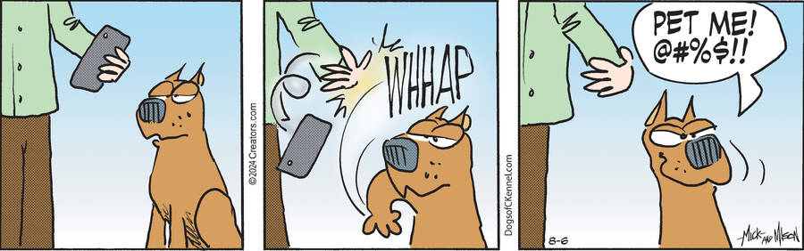 Dogs of C-Kennel for Aug 06, 2024