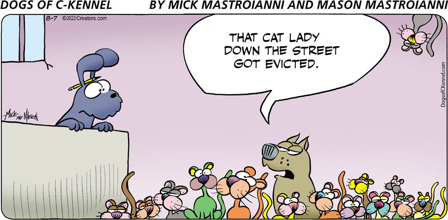 Dogs of C-Kennel for Aug 07, 2022