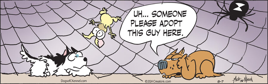 Dogs of C-Kennel for Aug 07, 2024