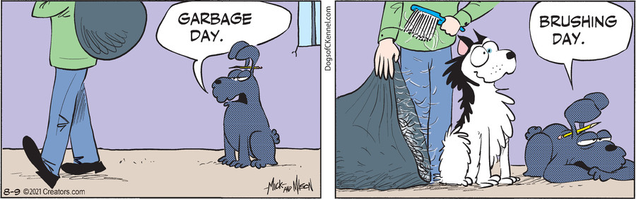 Dogs of C-Kennel for Aug 09, 2021