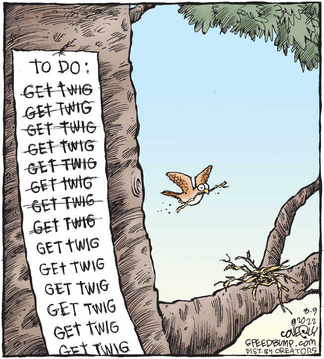 Speed Bump for Aug 09, 2022