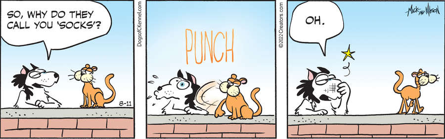 Dogs of C-Kennel for Aug 11, 2022