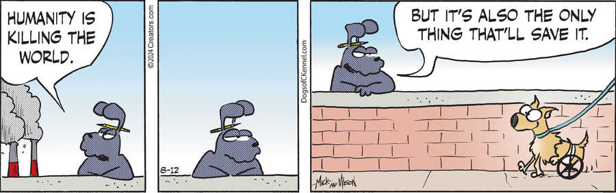 Dogs of C-Kennel for Aug 12, 2024