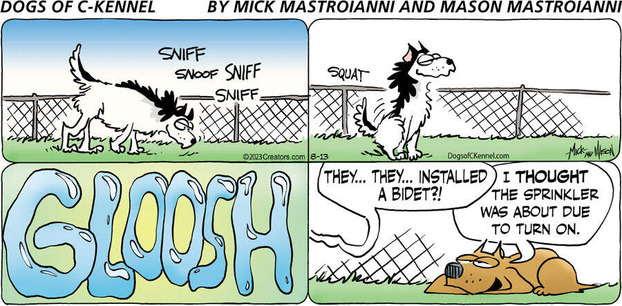 Dogs of C-Kennel for Aug 13, 2023