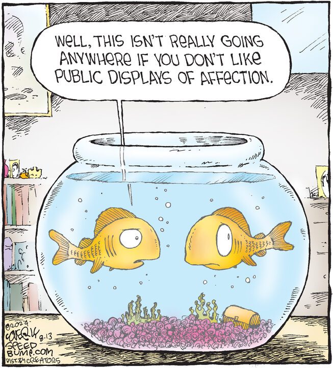 Speed Bump for Aug 13, 2024