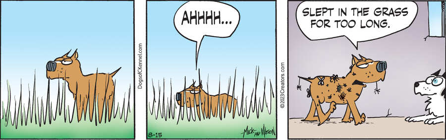 Dogs of C-Kennel for Aug 15, 2023