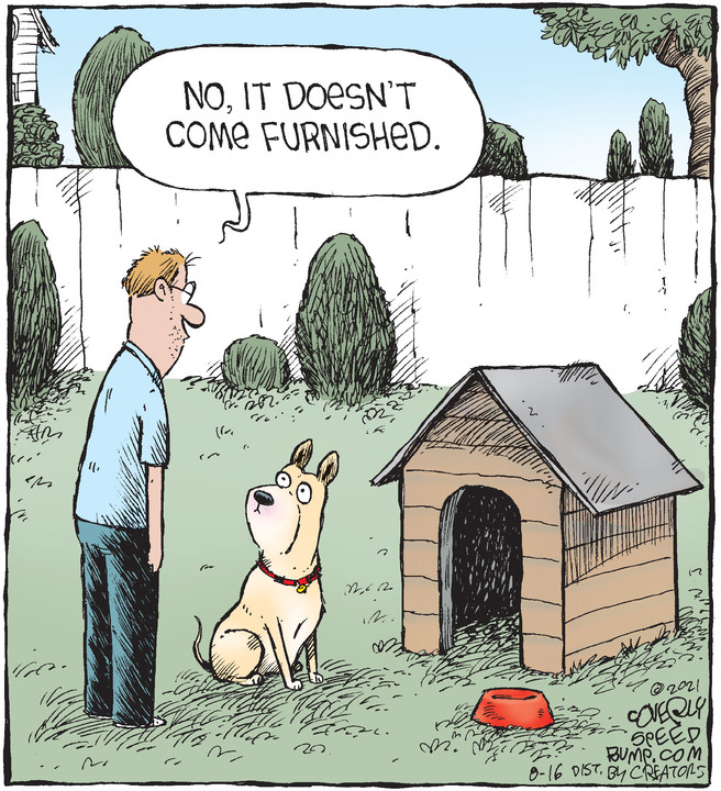 Speed Bump for Aug 16, 2021