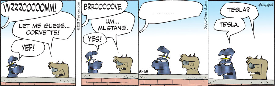 Dogs of C-Kennel for Aug 16, 2021