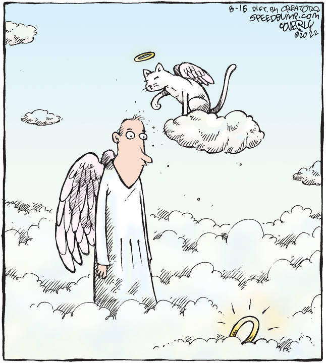 Speed Bump for Aug 16, 2022