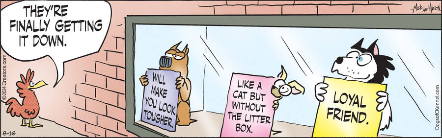 Dogs of C-Kennel for Aug 16, 2024