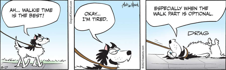 Dogs of C-Kennel for Aug 17, 2022