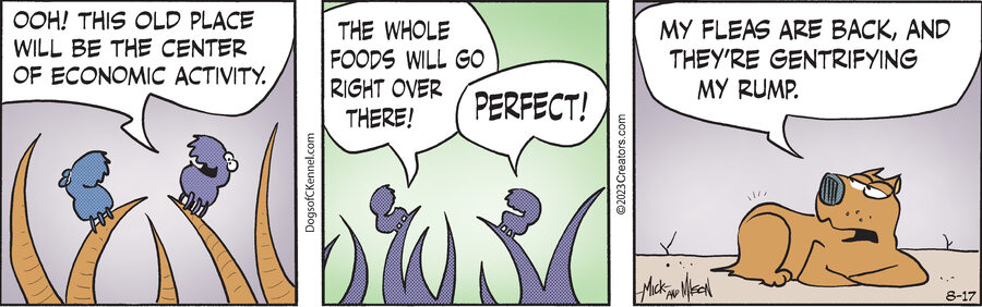 Dogs of C-Kennel for Aug 17, 2023