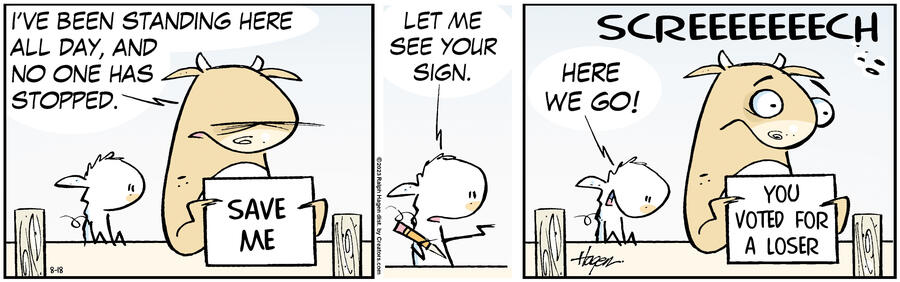 The Barn for Aug 18, 2023