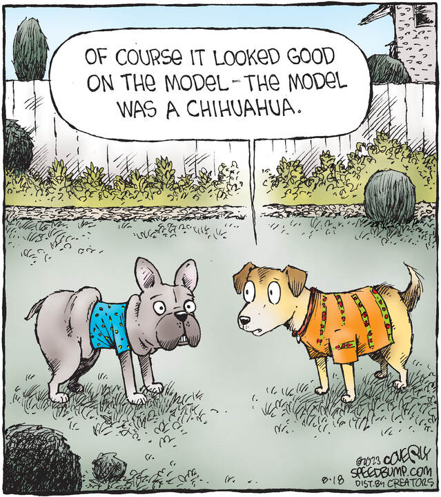 Speed Bump for Aug 18, 2023