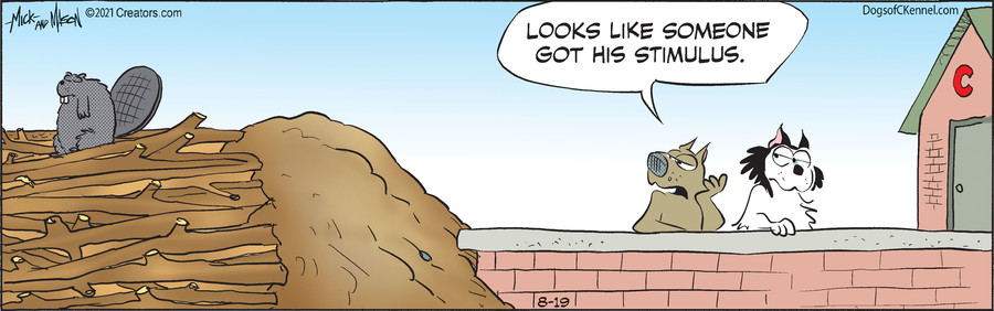 Dogs of C-Kennel for Aug 19, 2021