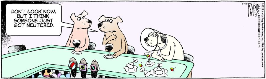 The Other Coast for Aug 19, 2022