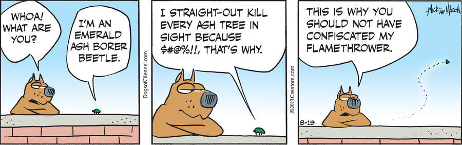 Dogs of C-Kennel for Aug 19, 2023