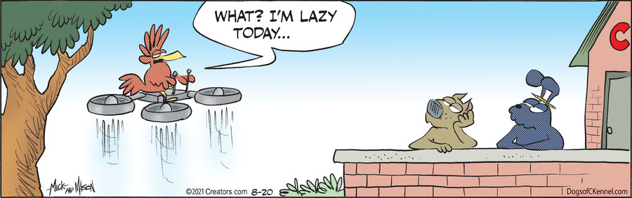 Dogs of C-Kennel for Aug 20, 2021