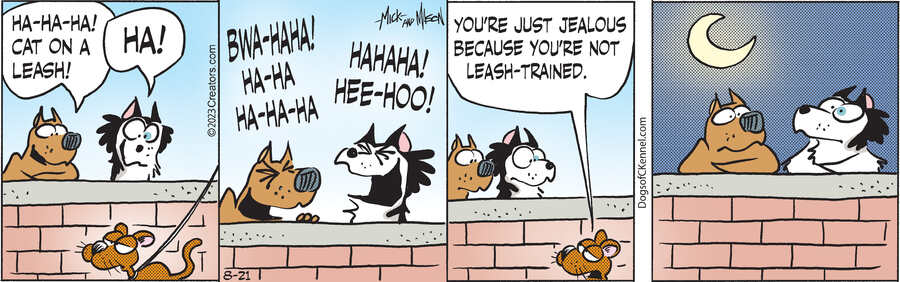 Dogs of C-Kennel for Aug 21, 2023