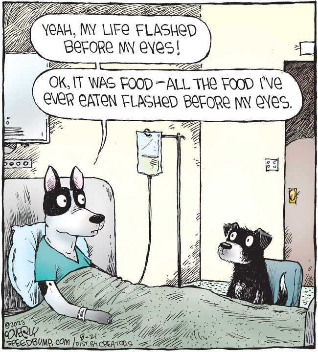 Speed Bump for Aug 21, 2023