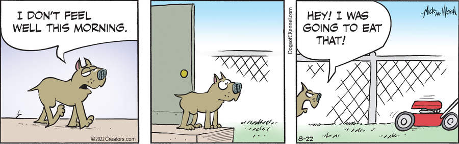 Dogs of C-Kennel for Aug 22, 2022