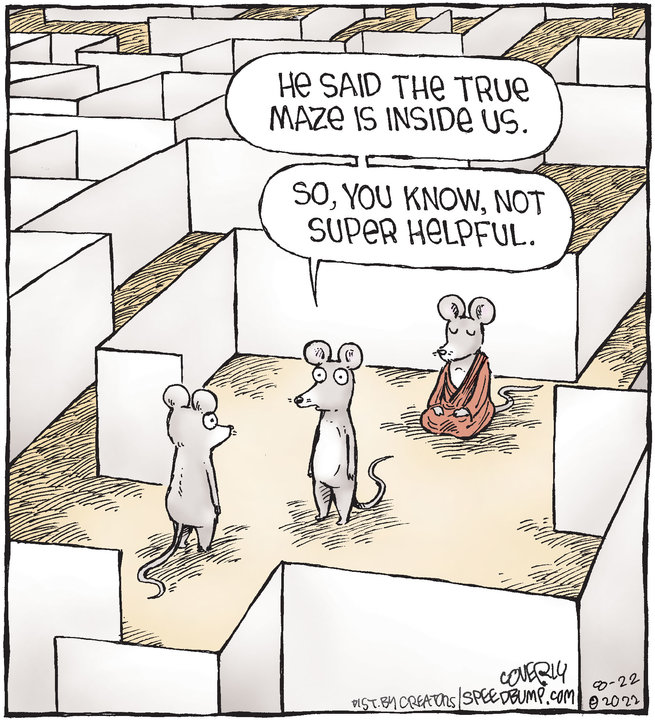 Speed Bump for Aug 22, 2022