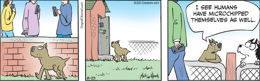Dogs of C-Kennel for Aug 23, 2021