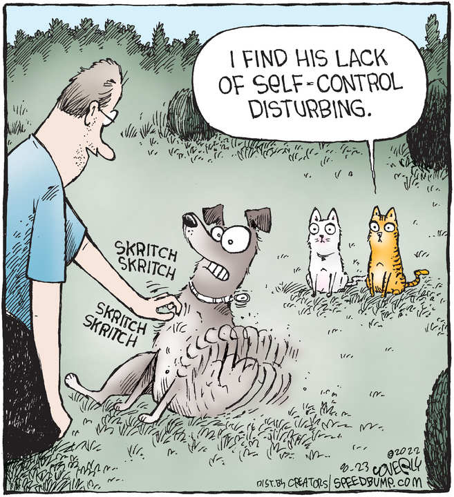 Speed Bump for Aug 23, 2022