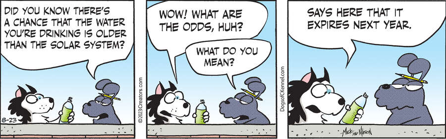 Dogs of C-Kennel for Aug 23, 2023