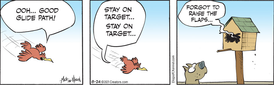 Dogs of C-Kennel for Aug 24, 2021