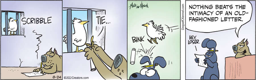 Dogs of C-Kennel for Aug 24, 2022