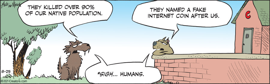 Dogs of C-Kennel for Aug 25, 2021