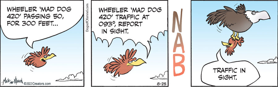 Dogs of C-Kennel for Aug 25, 2022