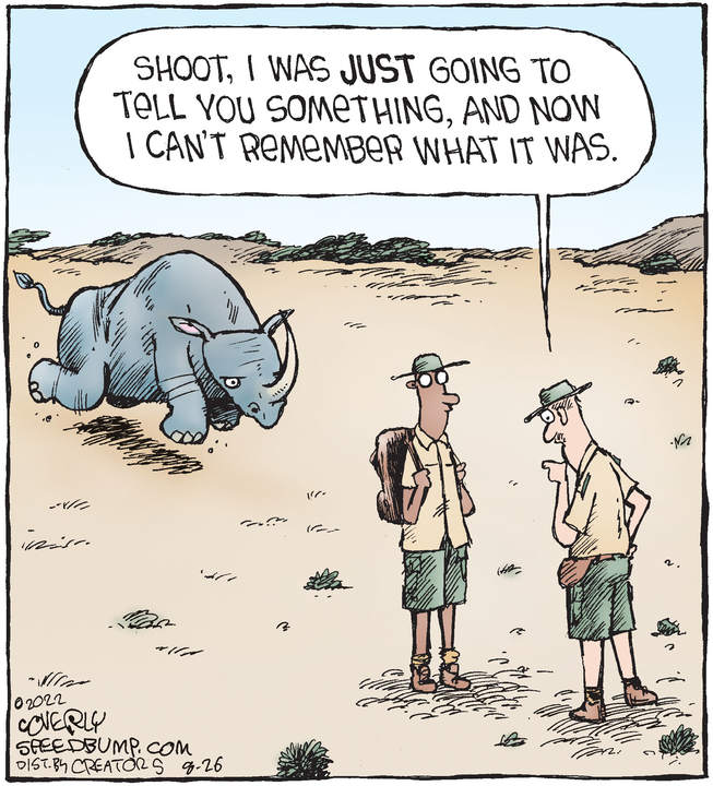 Speed Bump for Aug 26, 2022