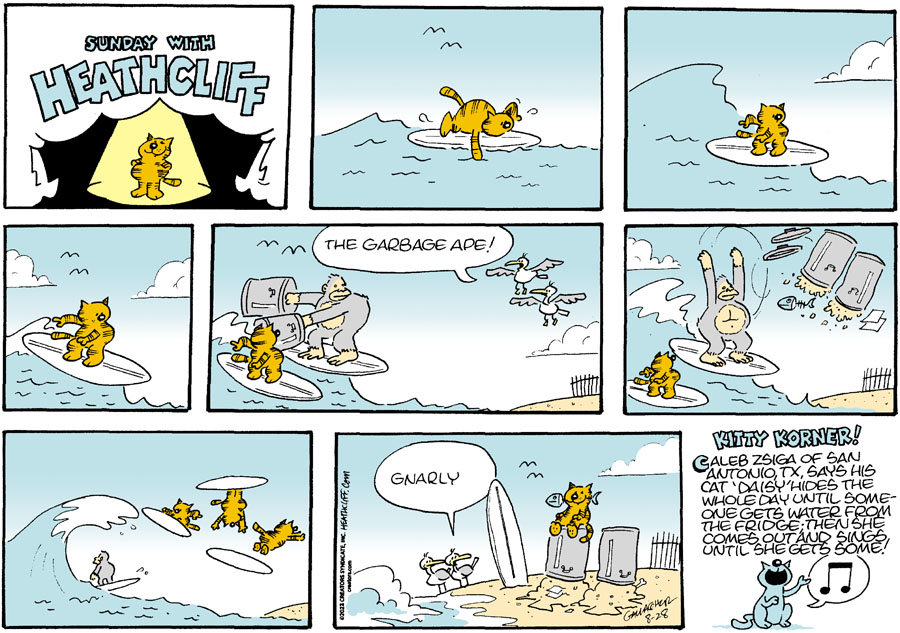 Heathcliff for Aug 28, 2022